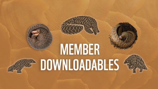 member downloads