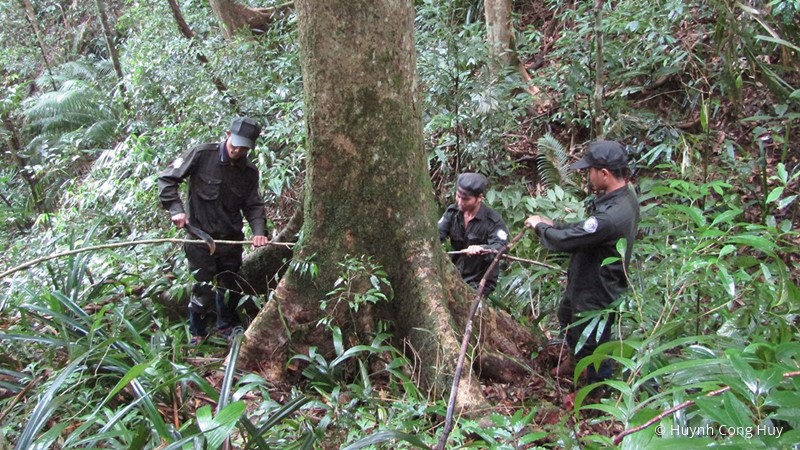 What does Southeast Asia’s snaring crisis look like on the ground?